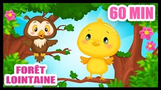 Dans la forêt lointaine  60 min de comptines pour bébés  Titounis [upl. by Amri901]