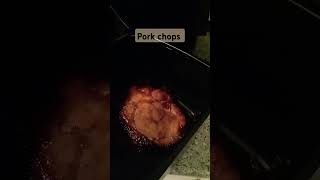 Air fryer pork chops porkchops shortsviral youtubeshorts food [upl. by Leina138]