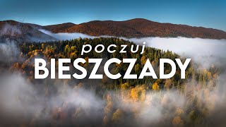 Bieszczady Jesienią Samotnie przez BIESZCZADZKIE POŁONINY Silent Hiking 🚶‍♂️ 100 klimat Bieszczad [upl. by Olifoet]