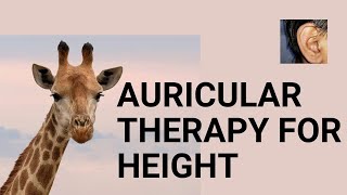 Auricular Therapy for Height Gain  Auricular 17 [upl. by Jamilla161]