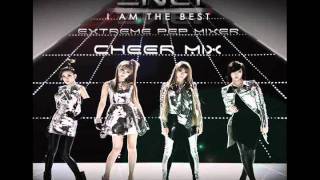 2NE1  I AM THE BEST CHEER MIX [upl. by Hars]