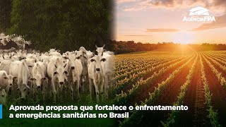 APROVADA PROPOSTA QUE FORTALECE O ENFRENTAMENTO A EMERGÊNCIAS SANITÁRIAS NO BRASIL [upl. by Lairret]