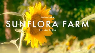 Sunflora Farm  Jala Jala Pililla Rizal CINEMATIC VIDEO [upl. by Razal]