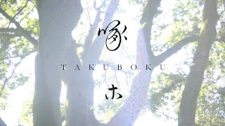 琵琶秘曲「啄木」Takuboku Sound of the Woodpecker 楽琵琶：中村かほる Gakubiwa KAHORU NAKAMURA [upl. by Liba137]