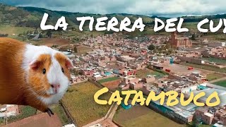 CATAMBUCO LA TIERRA DEL CUY EN NARIÑO COLOMBIA [upl. by Ardnnek896]