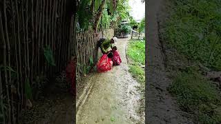 Bideshe te jaiba funnyvideoviralshort Bideshe comedyfilms banglacomedy [upl. by Trah453]