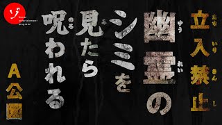 【閲覧注意】立入禁止！A公園に潜む廃屋に染み付いた怨念の姿を撮らえろ！決死の大突撃スペシャル [upl. by Henden]