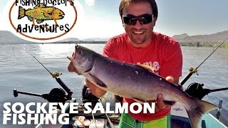 How to Catch Sockeye Salmon Osoyoos Lake [upl. by Nivlad]