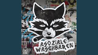 Asoziale Waschbären [upl. by Magena]