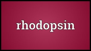 Rhodopsin Meaning [upl. by Ellehsim]