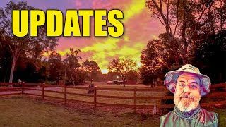 Hurricane Damage and Farm Update [upl. by Frants228]