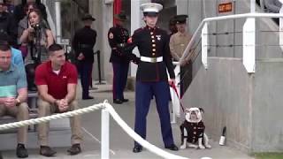 MCRD Parris Island Graduation 2019 June 28 [upl. by Drake]