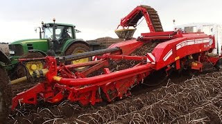 GRIMME GT 170  potato harvester with DoubleMultiSep [upl. by Nizam]