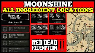 ALL MOONSHINE INGREDIENT LOCATIONS Red Dead Online [upl. by Yttig]