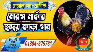 মোরগ মার্কার নির্বাচনী গান  Morog Marka Election Song  SR Voice Multimedia  01304875781 [upl. by Ternan62]