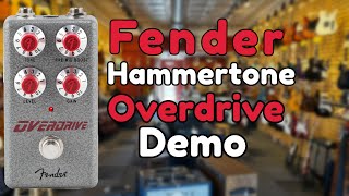 Is The Fender Hammertone Overdrive Versatile [upl. by Fausta459]