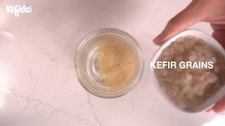 HOW TO MAKE WATER KEFIR WITH KEFIRKO KEFIR MAKER [upl. by Kemppe410]