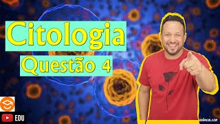 Questão 4  Citologia  Biologia com o Tubarão [upl. by Asusej43]