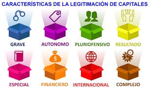 LEGITIMACIÓN CAPITALES [upl. by Solegna]