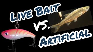 Live Bait VS Artificial Baits ICE FISHING For WALLEYES outdoors icefishing fishinglife [upl. by Bandeen122]