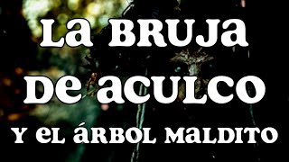 La Bruja de Aculco y el Árbol Maldito [upl. by Eiclek]