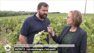 Emission spéciale Vignes et Vendanges à Gétigné [upl. by Sudoeht]