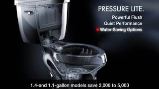 Pressure Lite Flushing System [upl. by Oralee512]