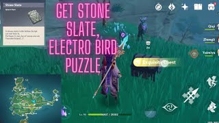 Electro Bird Puzzle get Stone Slate  Moshiri Ceremonial Site Puzzle  Tsurumi Island [upl. by Zetnod]