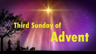 Third Sunday of Advent  Fr Alex Kalathikattil SDB  English [upl. by Eidac229]