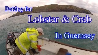 Brown Crab amp Lobster in Guernsey [upl. by Gorey]