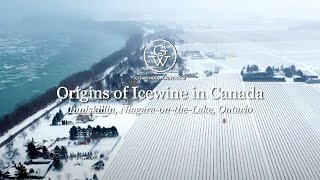 Inniskillin How Icewine Began in Canada [upl. by Lela]