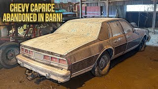 First Wash in 18 Years Caprice Classic Barn Find  Car Detailing Restoration [upl. by Llemaj]