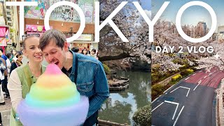 Cherry Blossom Season in Tokyo Japan 🌸 Vlog Day 2 [upl. by Shetrit]