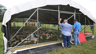 Raising 20000 Chickens On Pasture COMPLETE [upl. by Tihor375]