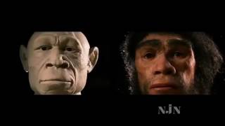 PBS Nova Documentary Collection Homo Sapiens The Birth of Humanity [upl. by Hamforrd]