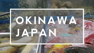 Okinawa Japan Travel Tips amp Experience Part 2 [upl. by Svirad83]