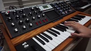 Lukes Theme on a Minimoog Voyager  EHX Cathedral [upl. by Yrrot]