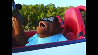 Orangutan Driving Edit 🦧🏎️🗿 [upl. by Lleret]