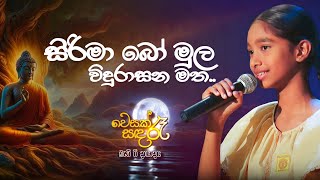 සිරිමා බෝ මුල විදුරාසන මත  වෙසක් සඳ රෑ බැති ගී දායාදය sirimabomula bethigee nirwanaswarna [upl. by Adieren]