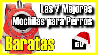 🎒🐶 Las 7 MEJORES Mochilas para Perros BARATAS de Amazon 2024✅CalidadPrecio Portaperros y gatos [upl. by Rebhun]