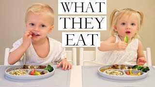 What Our VEGANPLANTBASED Children Eat PART 12 [upl. by Yme]