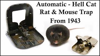 The Automatic  HellCat Mouse amp Rat Trap From 1943 Mousetrap Monday [upl. by Acina890]