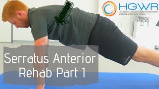 Exercises for Scapula Winging and Irregular Shoulder Movement  Pt 2  Tim Keeley  Physio REHAB [upl. by Nimrahc772]