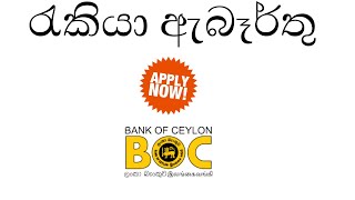 BOC Bank Job Vacancy 2023 Sri Lanka  ලංකා බැංකු රැකියා ඇබෑර්තු  Jobs In Sri Lanka [upl. by Zach]