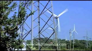 Fields of wind turbines Kerala [upl. by Wurster]