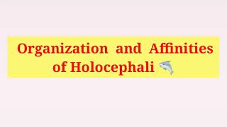 Holocephali  General character  Organisation and Affinities of Holocephali in Hindi amp English [upl. by Surazal]