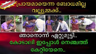 പ്രായമായെന്ന ബോധമില്ല വല്യമ്മക്ക്‌  ഞാനൊന്നു ഏറ്റുമുട്ടി  കോടാലി ഇപ്പോ നെഞ്ചത്ത് കേറ്റിയേനെ [upl. by Heffron501]