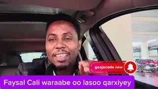 Faysal Cali Waraabe oo isagoo Buurmadow xamanaya lasoo qarxiyey share subscribe like [upl. by Immac]