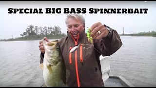 This Special Spinnerbait Catches Big Bass all the time [upl. by Kumler]