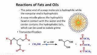 Fats Oils amp Fatty Acids │ Carboxylic Acids amp Derivatives │ Organic Chemistry [upl. by Teeter]